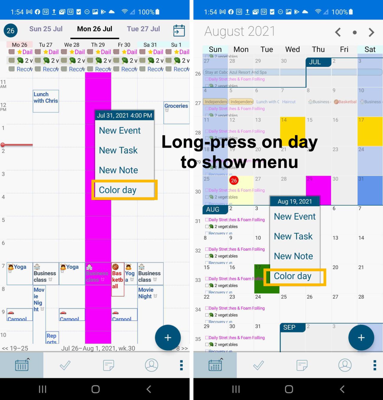 Informant for Android Interface & Day Color Updates Pocket Informant