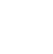  Pocket Informant Newsletter