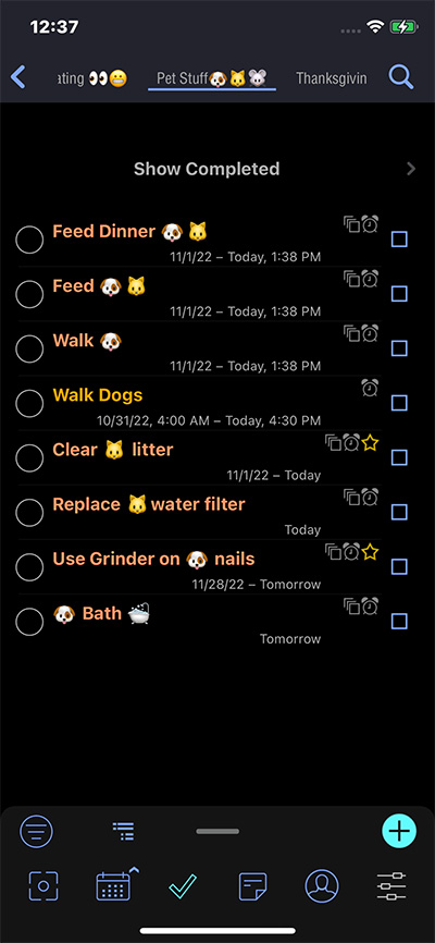 Dress-Up-Your-Pets-Day-with-Pocket-Informant