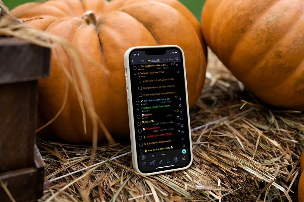 Fall-Blog-Pumpkin-Hay-Project-View